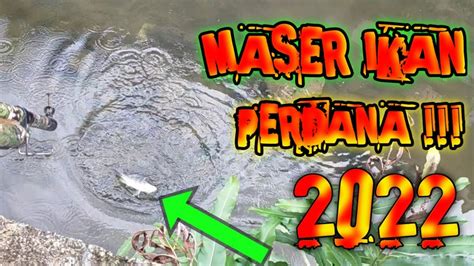 Tahun Baru 2022 Maser Ikan YouTube