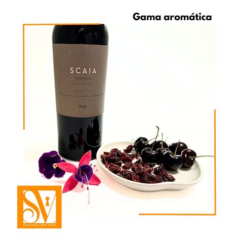 SCAIA ROSSO - Secretos del Vino