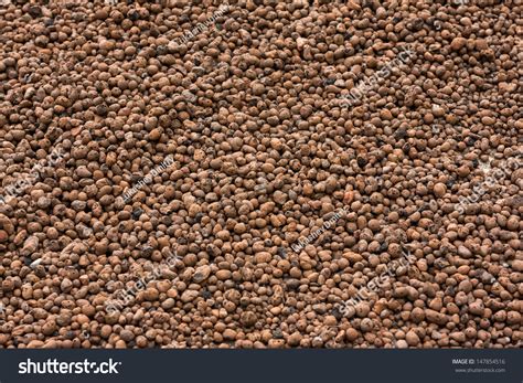 Expanded Clay Aggregate Stock Photo Shutterstock