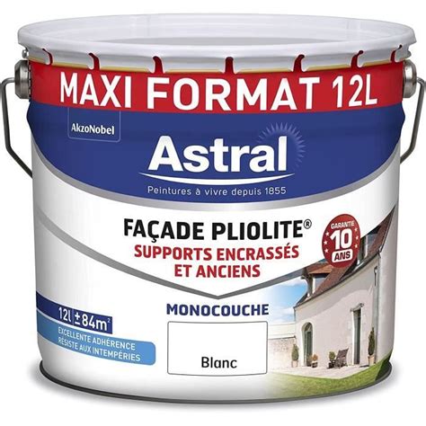 Peinture Fa Ade Pliolite Monocouche Excellente Adh Rence Supports