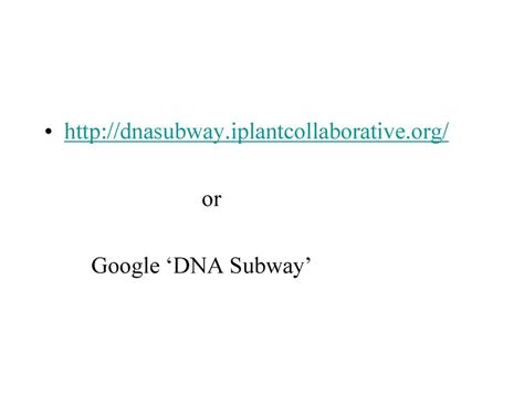 Gene Annotation With Dna Subway Ppt Download