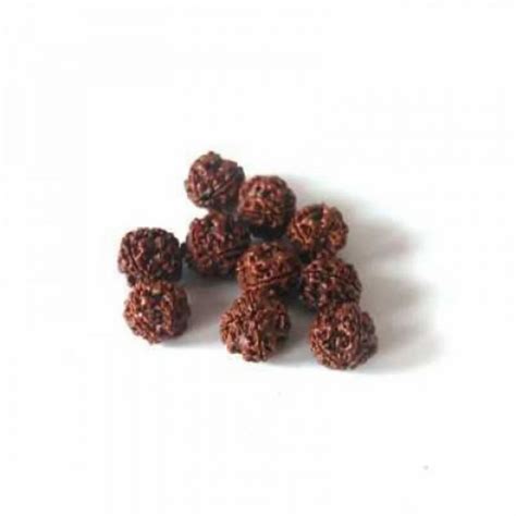 Dried Seeds Of A Tree Round Mukhi Rudraksh Beads Weight Gm At