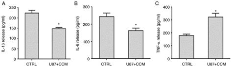 Hsp60 Participates In The Anti‑glioma Effects Of Curcumin