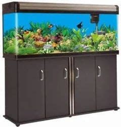 5 Feet Imported Aquarium Tank At Rs 38500 Piece Aquarium Tank In