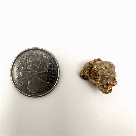 Quartz Gold Nugget 436g Mammoth Gold Nuggets