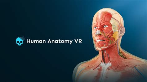 Human Anatomy VRQuest AppLab Store 映维网 AR VR App