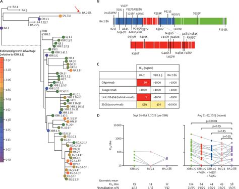 Sensitivity Of The Sars Cov 2 Ba286 Variant To Prevailing Neutralising Antibody Responses