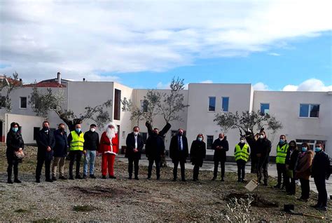 Giornata Nazionale Dellalbero Fareambiente Calabria Dona Un