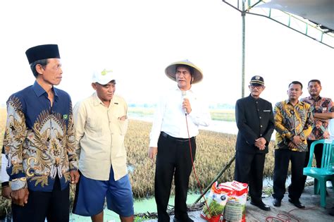 Petani Grobogan Mengaku Terbantu Dengan Program Pompanisasi Sawit Kita