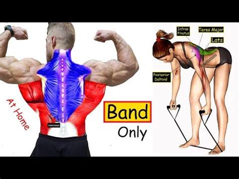 Best Resistance Band Back Workout Effective Exercises Youtube