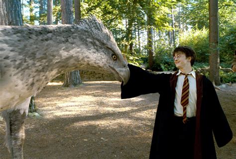 Harry approaches Buckbeak — Harry Potter Fan Zone