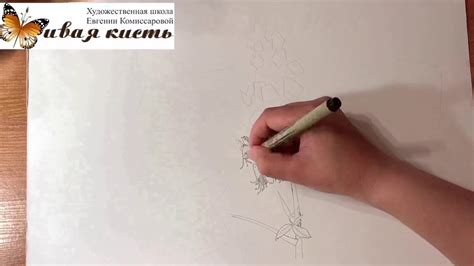 Каштан рисунок - YouTube