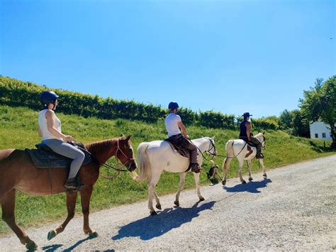 Passeggiate A Cavallo Treviso A Partire Da 40 Freedome