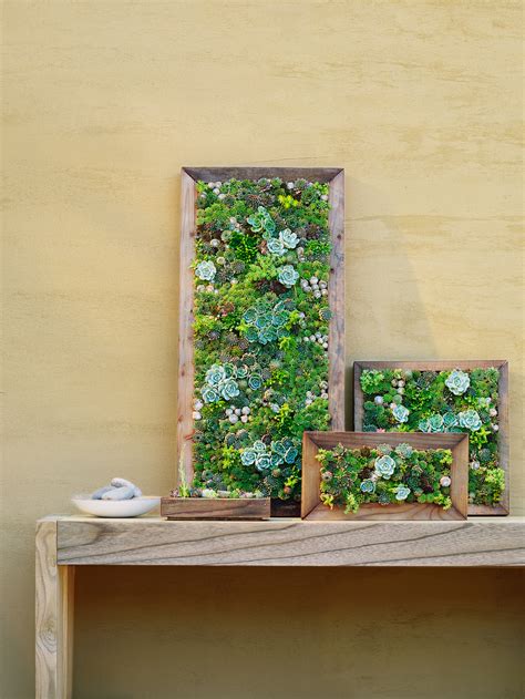 Succulent Wall Planter Pallet - Best Succulent Ideas