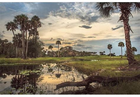 Old Florida | Old florida, Florida, Photography