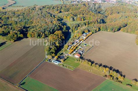 Sickenberg aus der Vogelperspektive Herbstluftbild Museums Gebäude