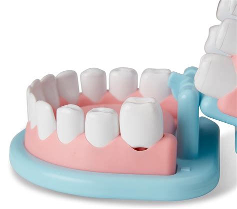 Kit De Dentista Melissa Doug Super Smile Conjunto De Dentes E