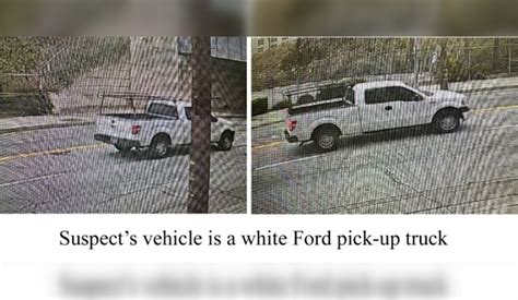 Lapd Seeks Help To Identify Suspect In Fatal Hit And Run Collision In