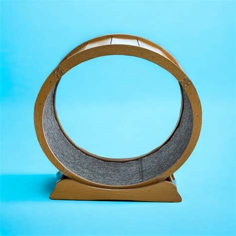 Cat Wheel Pet Supplies Homes And Other Pet Accessories On Carousell