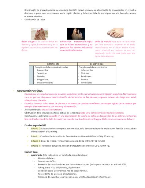 SOLUTION Pie Diab Tico Y Amputaciones Studypool