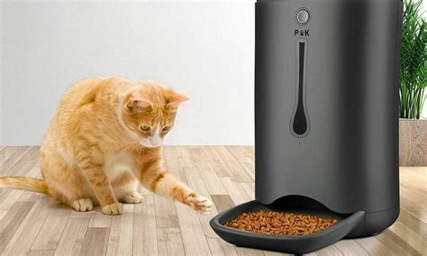 Mejores Dispensadores De Comida Para Gatos Ventajas Y Desventajas