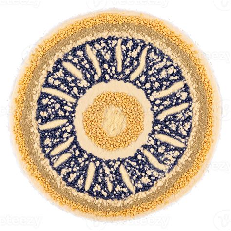 Navy Bean Flour Mandala A Circular Design Of Fine Navy Bean Flour