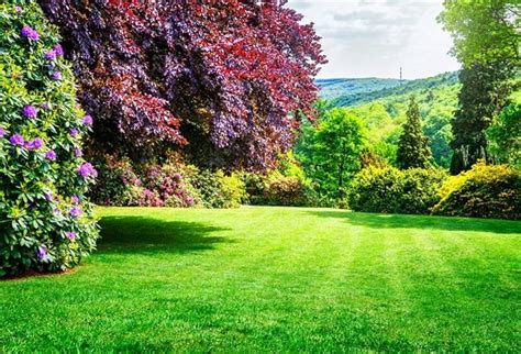 outdoors backgrounds