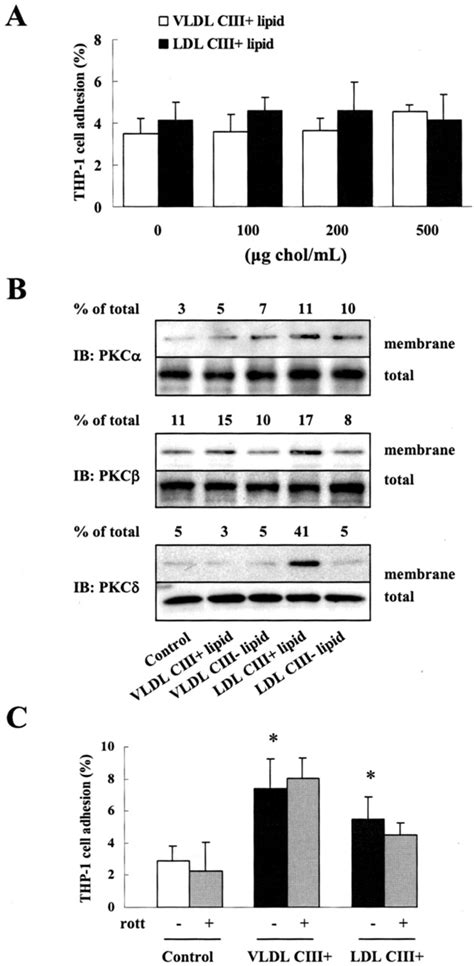 Apolipoprotein Ciii In Apolipoprotein B Lipoproteins Enhances The