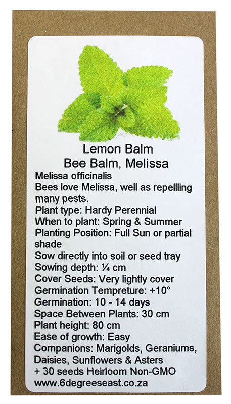 Buy 6 Degrees East Heirloom Herb Seeds Lemon Balm Melissa Online