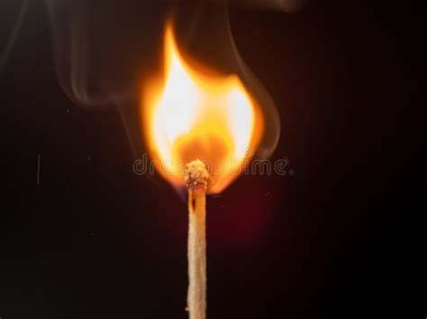 Burning Match On A Black Background Flame From A Lit Match Stock Image