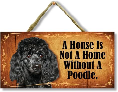 New Wood Sign 10x5 Inch Door Sign A House Is Not A Home Without A