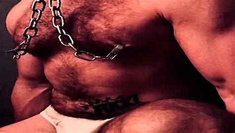 Hairy Hunk Pig Pumped Nipples And Piss Free Gay Porn Ca Xhamster