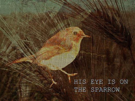 His Eye Is On The Sparrow Digital Art By Suzanne Carter Fine Art America