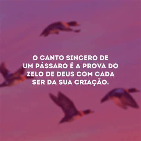 Frases Sobre P Ssaros Para Contemplar A Beleza Da Natureza