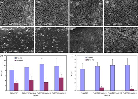 Figure 3 From Structural And Degradation Characteristics Of An Innovative Porous Plga Tcp