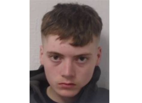 Alert Gardai Seek Help In Locating Teenager Missing For Almost A Week