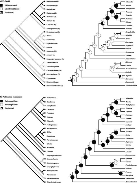 Parsimony Reconstruction Illustrated On A Maximum Parsimony Tree And