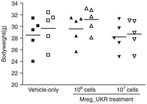 Weight Gain In NMRI Nude Mice Was Unaffected By Human Regulatory