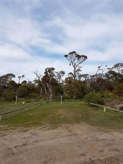 Black Springs Campground - Coffin Bay National Park, Campsite at Coffin Bay | Book at Campedia ...