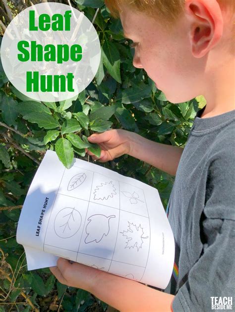 Leaf Shape Scavenger Hunt - Teach Beside Me