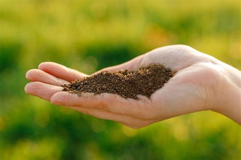 Premium Photo Female Hands Soil On The Field Expert Hand Of Farmer