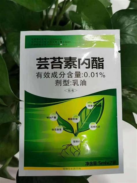 芸苔素内酯和复硝酚钠配什么效果最好 每日头条