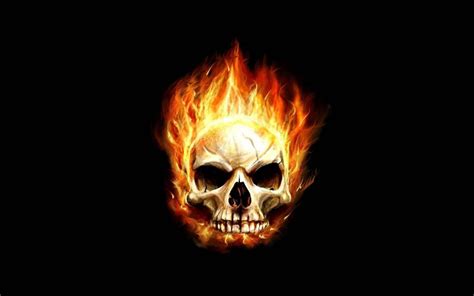 Skull Fire Wallpaper 61 Images