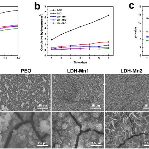 Corrosion Resistance Studies A Potentiodynamic Polarization Curves