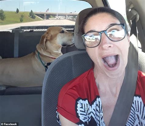 Woman S Shocking Admission To Cops After Being Arrested For Sex With Her Great Dane Daily Mail