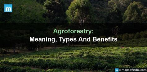 Agroforestry Meaning Types And Benefits Agriculture