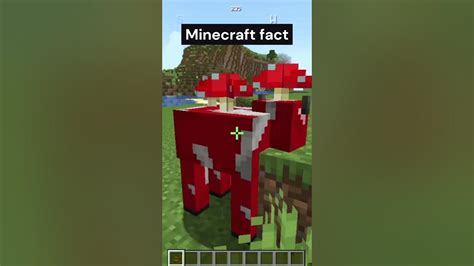 Minecraft Why Mooshroom Cows Are The Most Op Mobs Shorts Youtube