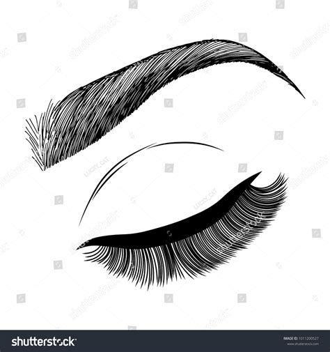 Illustration Womans Eye Wink Eyebrow Eyelashes Stock Vector Royalty