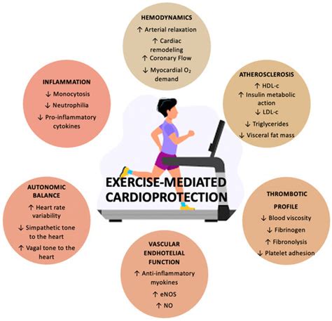 Jcdd Free Full Text Effects Of Exercise On Heart Failure With