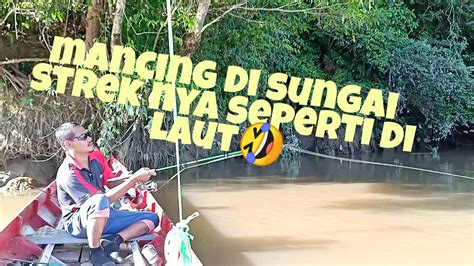 Mancing Sungai Berau Kaltim YouTube